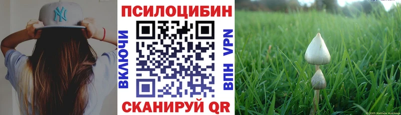 Галлюциногенные грибы Psilocybe  Купить где  Берёзовский 